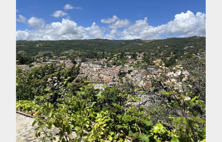 image de Fête des Vins et du Jumelage