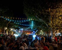 Fête des Vins et du Jumelage