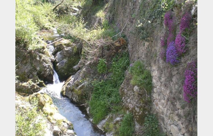image de Thorrenc