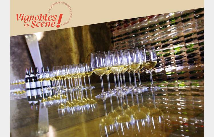 image de Atelier d’initiation et de découverte des vins au Vineum