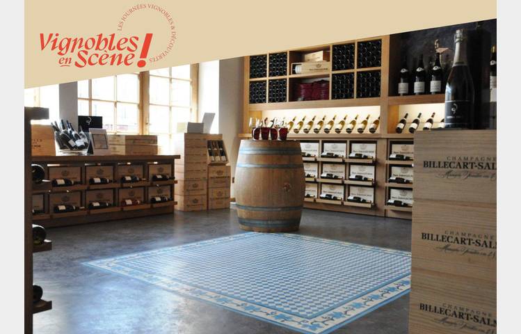 image de Wine initiation and discovery workshop at Vineum