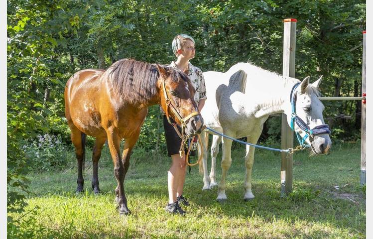 image de "Ushuaia Villages" L'Oasis Campsite