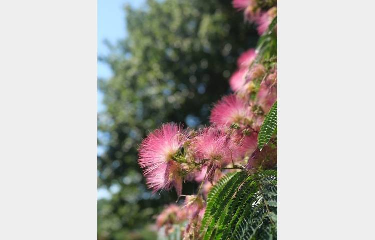image de Camping le Château