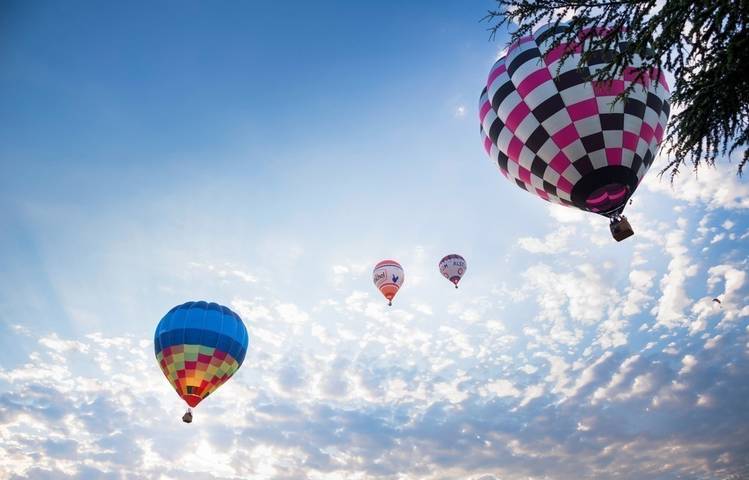 Photo of Hot Air Balloon Festival