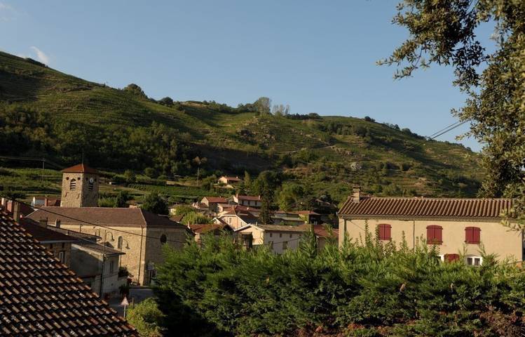 Photo of Village viticole de Saint-Désirat