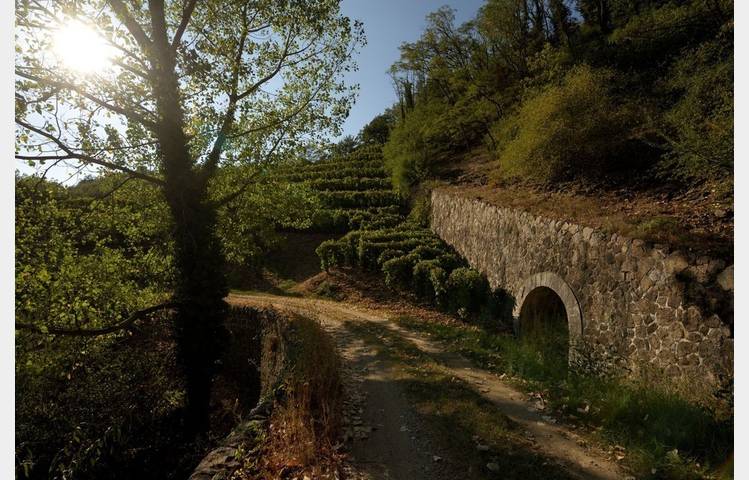 image de Saint-Désirat