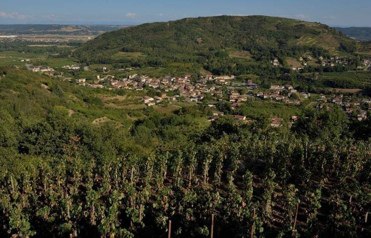Photo of Village viticole de Saint-Désirat