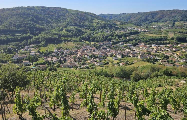 Photo of Village viticole de Saint-Désirat