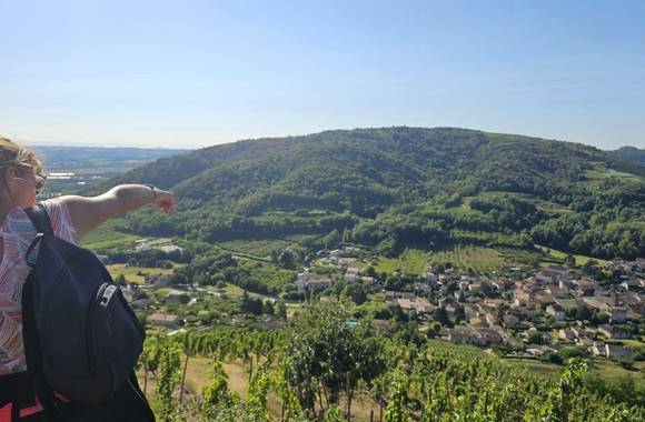 Village viticole de Saint-Désirat