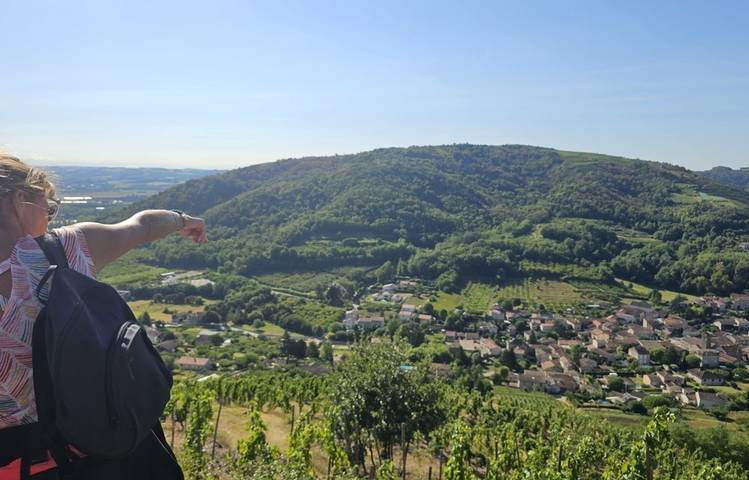 Photo of Village viticole de Saint-Désirat