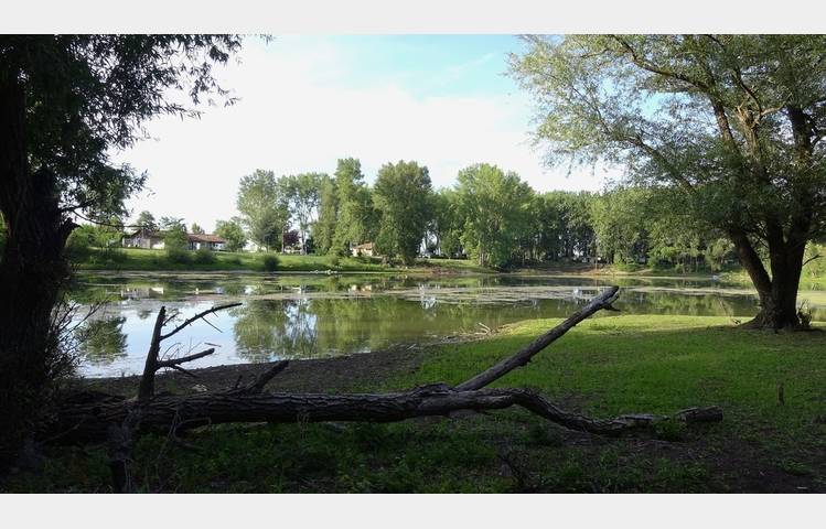 image de Camping le Domaine d'Andance