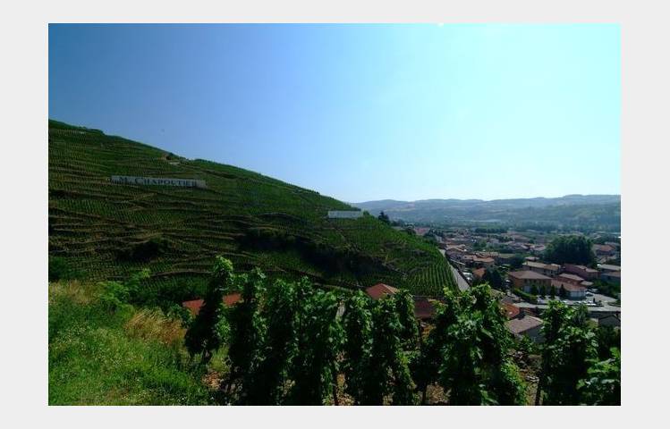 image de Vineyard path in Ampuis