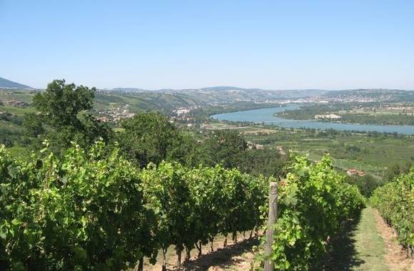 Sentier des vignobles