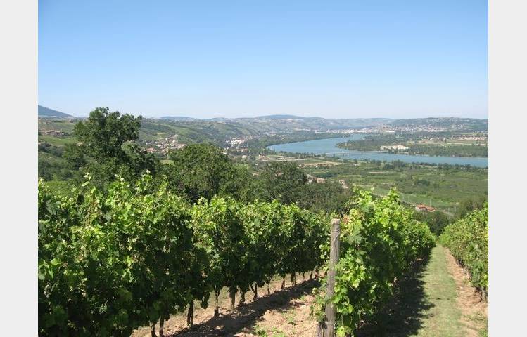 image de Sentier des vignobles