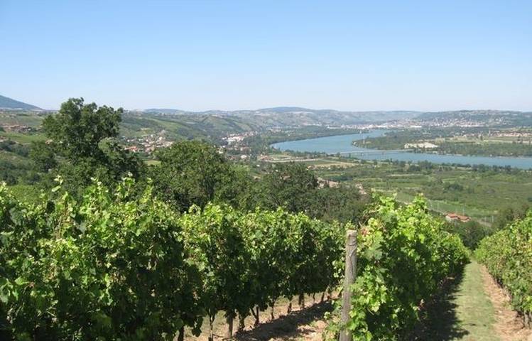 Photo of Sentier des vignobles