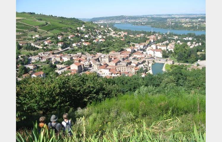 image de Sentier des vignobles
