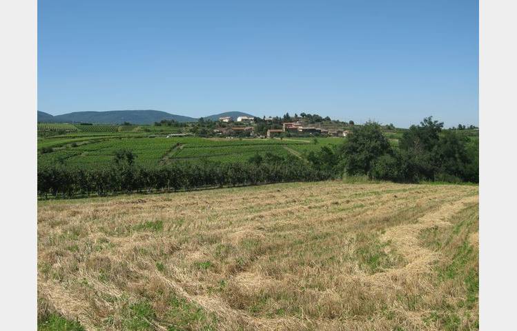 image de Sentier des vignobles