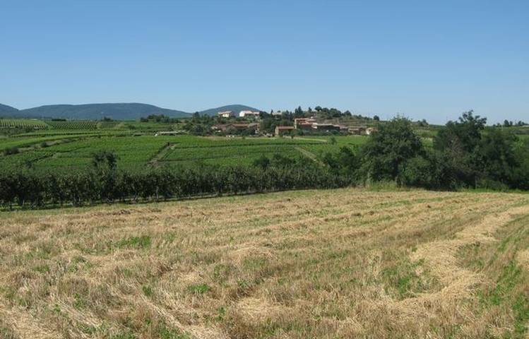 Photo of Sentier des vignobles