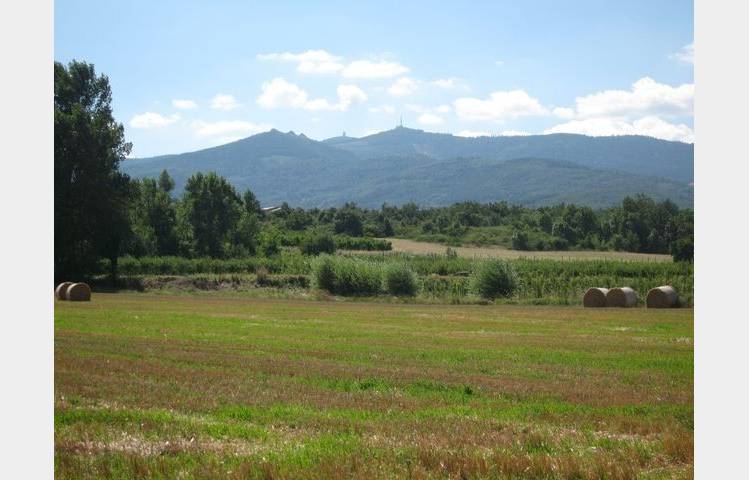 image de Sentier des vignobles