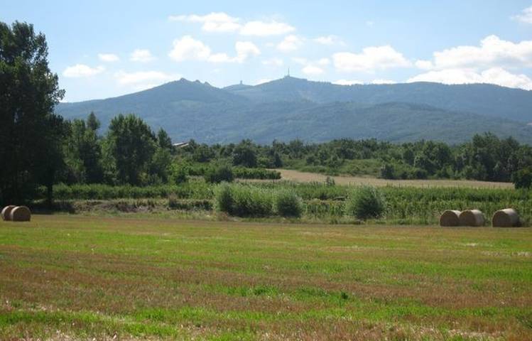 Photo of Sentier des vignobles