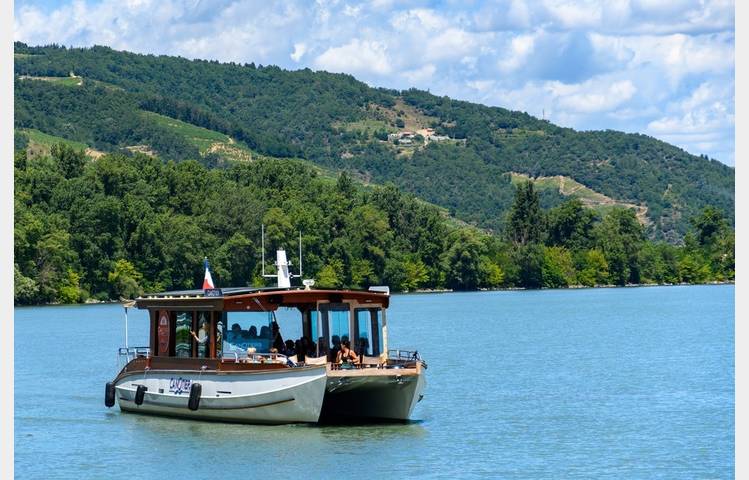 image de Cruise on the Rhône "Bleu-vert-vapeur" with Les Canotiers: boat - bike - steam train.