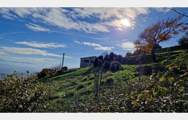 image de La Ferme d’Helyette
