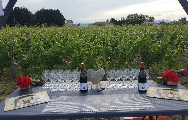 Photo of Domaine Lionel Brenier