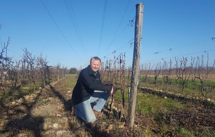 Photo of Domaine Lionel Brenier