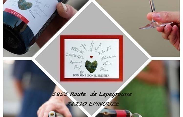 Photo of Domaine Lionel Brenier