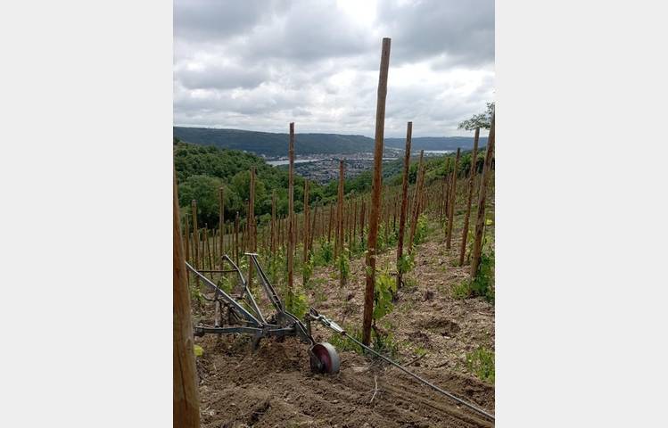image de Domaine DUCLOT