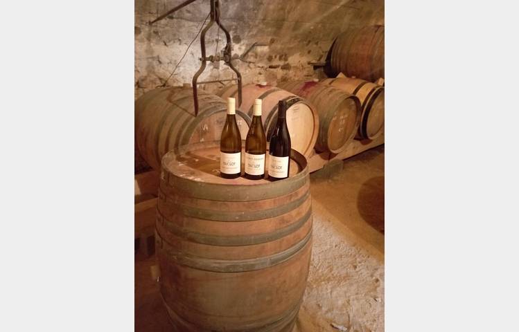 image de Domaine DUCLOT