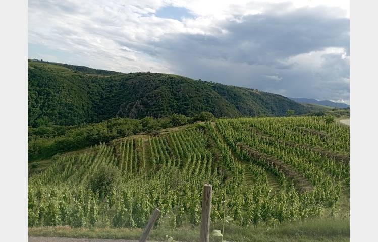 image de Domaine DUCLOT