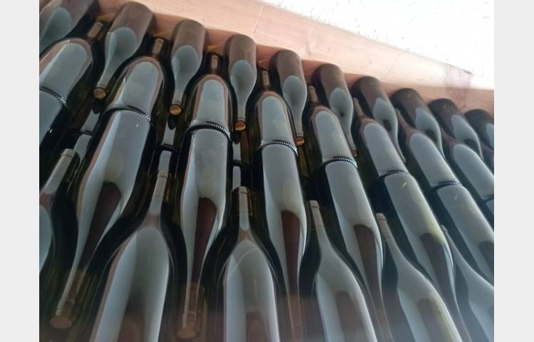 image de Domaine DUCLOT
