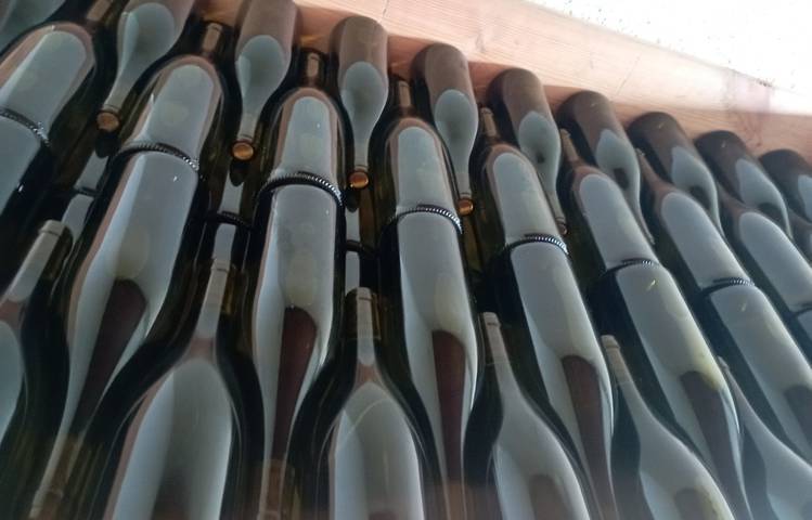 Photo of Domaine DUCLOT