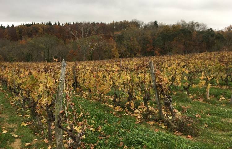 Photo of Le domaine des Bardes