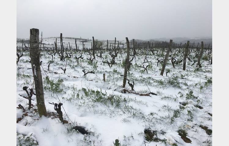 image de Domaine des Bardes