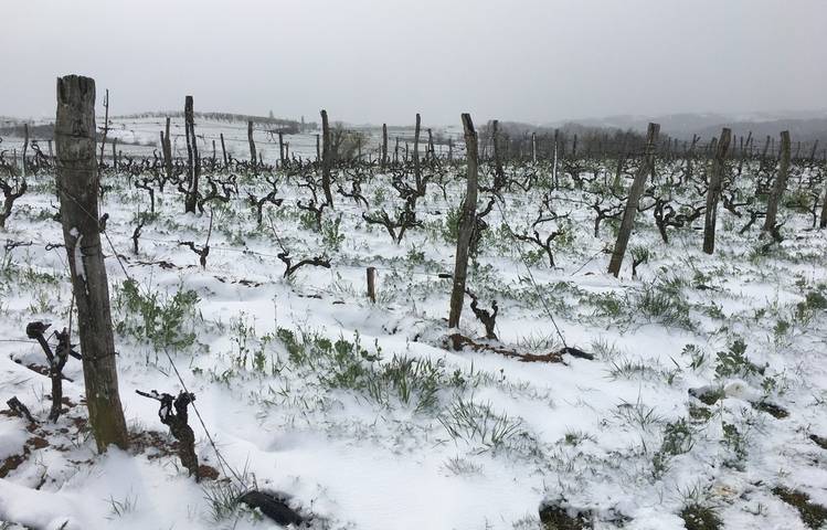 Photo of Le domaine des Bardes