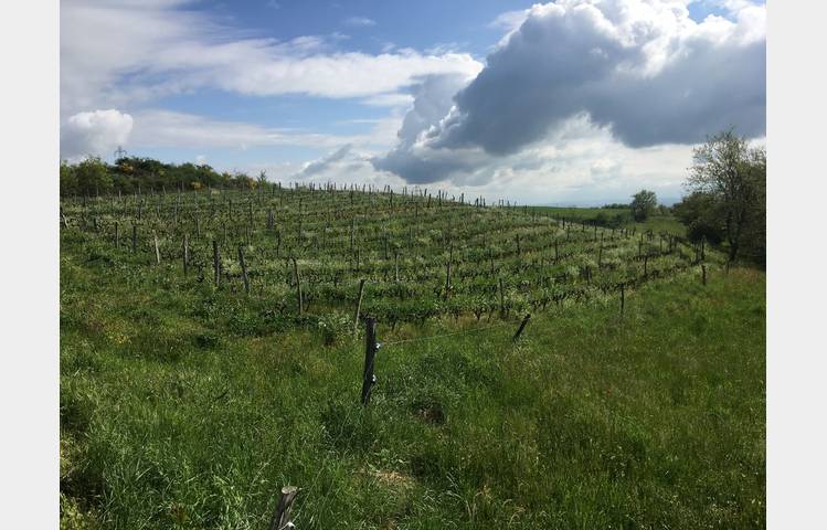 image de Domaine des Bardes