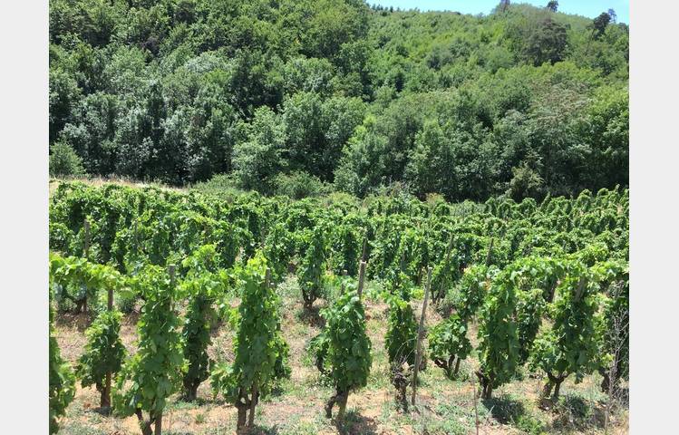 image de Domaine des Bardes