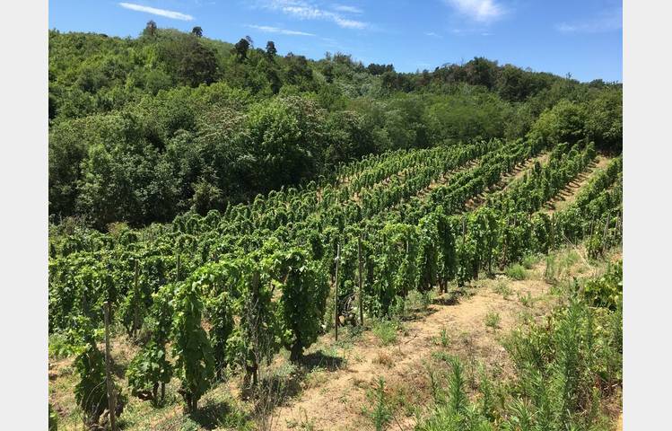 image de Le domaine des Bardes