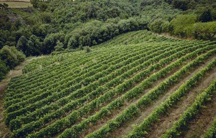 Photo of Le domaine des Bardes