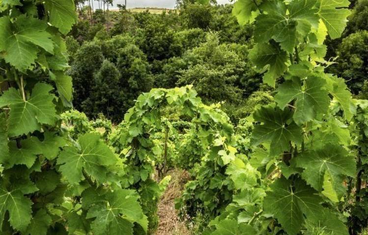 Photo of Le domaine des Bardes