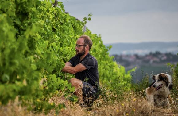 Le domaine des Bardes