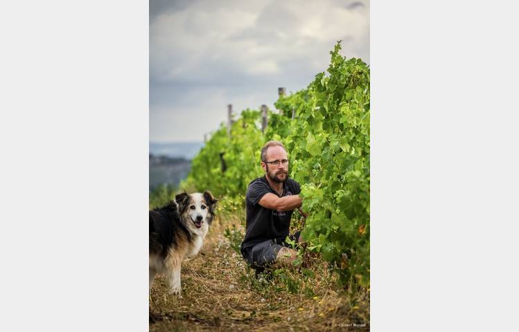 image de Le domaine des Bardes