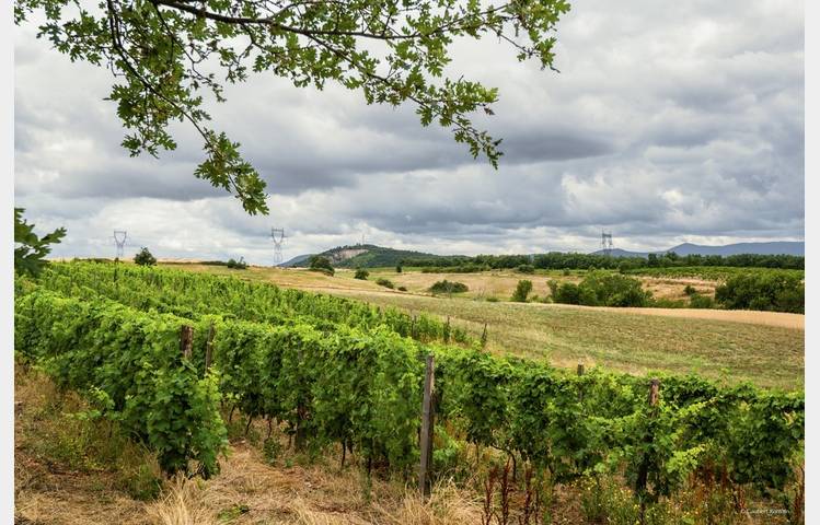 image de Le domaine des Bardes