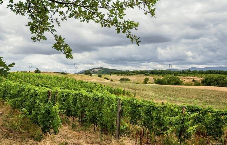 Photo of Le domaine des Bardes