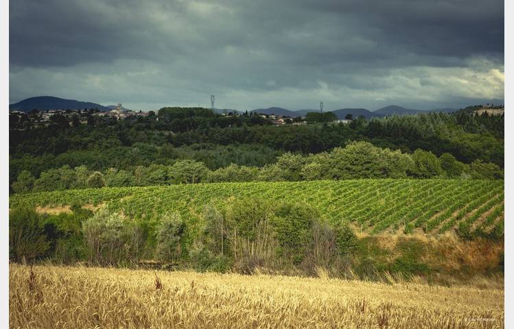 image de Le domaine des Bardes