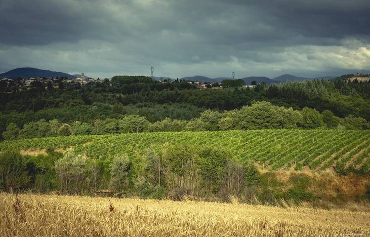 Photo of Le domaine des Bardes