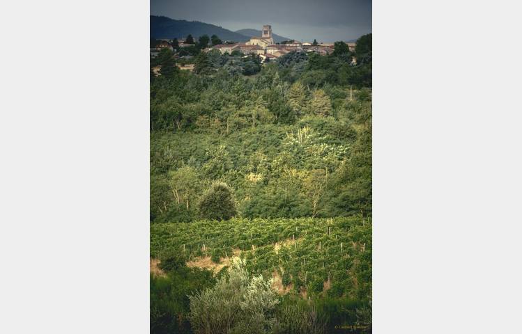 image de Le domaine des Bardes