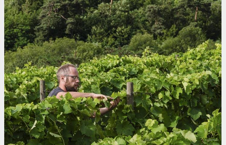 image de Le domaine des Bardes